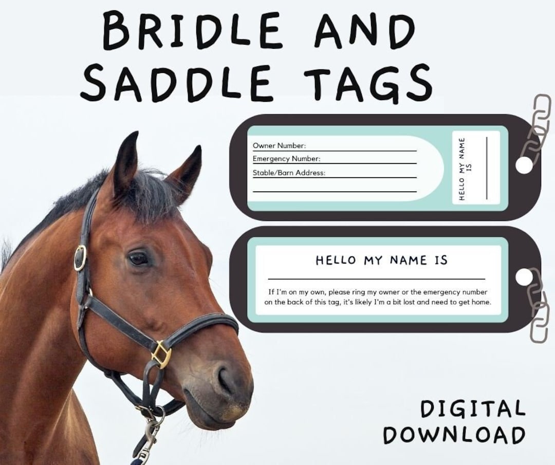 Horse ID Tag, Bridle Tag, Horse Name Tag, Halter Tag, Horse and Rider