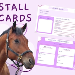 Pink Horse Stall Cards, Stable Cards (Digital Download), Horse Organiser, Equestrian Gift, Horse Gift, Horse Item, Horse Gift, Equestrian