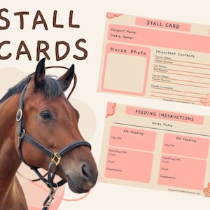 Carte stalla cavallo rosa salmone, carte stalla (download digitale), organizzatore di cavalli, regalo equestre regalo cavallo, oggetto cavallo, regalo cavallo, equestre