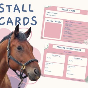 Dark Pink Horse Stall Cards, Stable Cards (Digital Download), Horse Organiser,Equestrian Gift,Horse Gift, Horse Item, Horse Gift, Equestrian