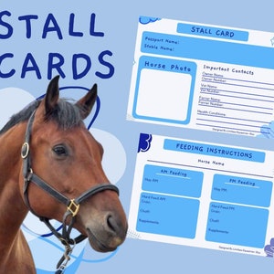 Blue Horse Stall Cards, Stable Cards (Digital Download), Horse Organiser, Equestrian Gift Horse Gift, Horse Item, Horse Gift, Equestrian