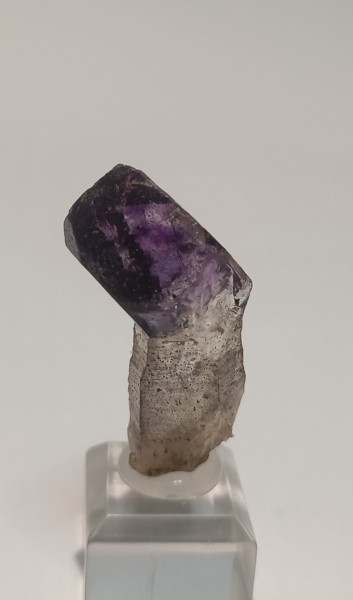 Améthyste Sceptrée sur Quartz