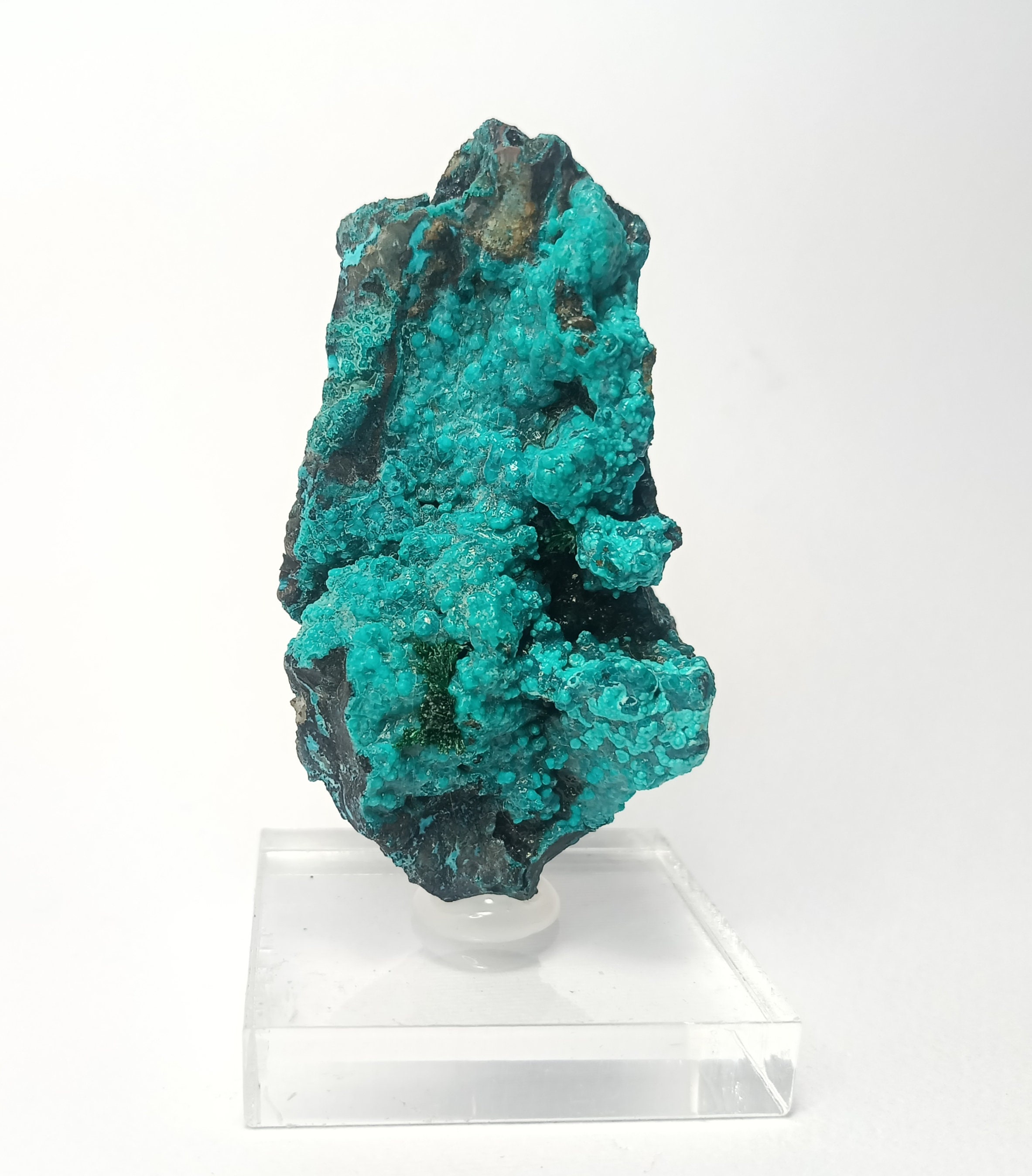Chrysocolle, Hétérogénite, Malachite