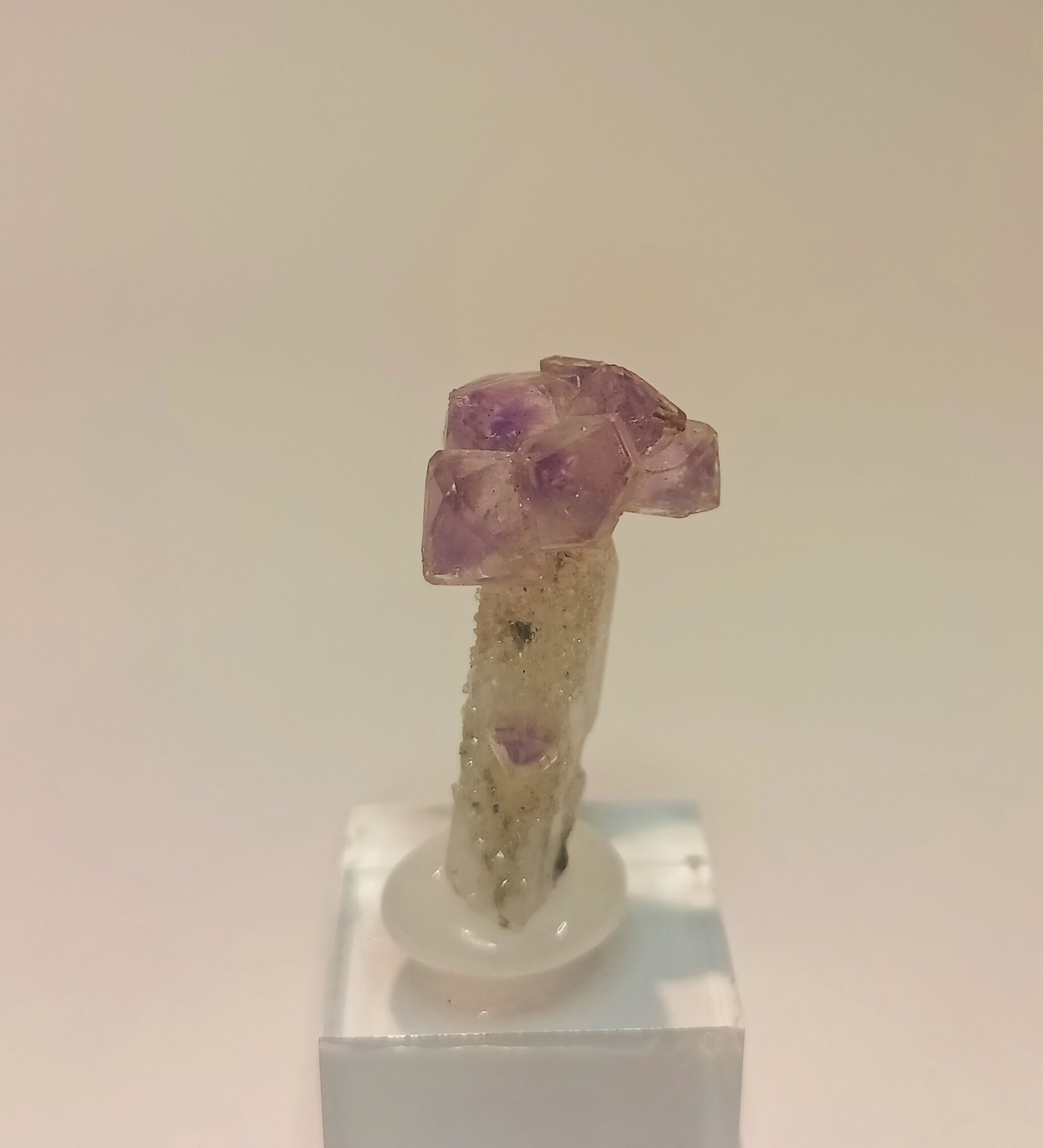 Améthyste sur Danburite