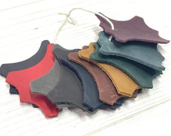 Leather samples (Crazy Horse)
