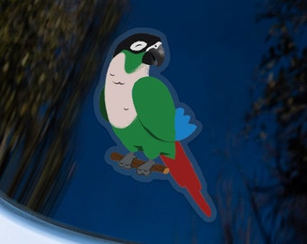 Green Cheek Conure Parrot Vinyl Bird Sticker