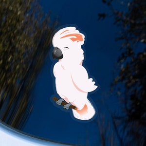 Moluccan Cockatoo Parrot Vinyl Bird Sticker