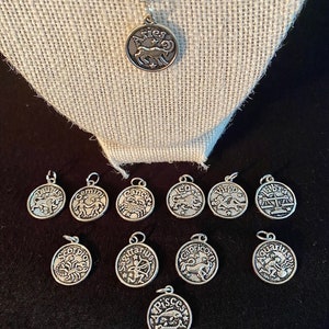 Zodiac Sterling Silver Necklaces