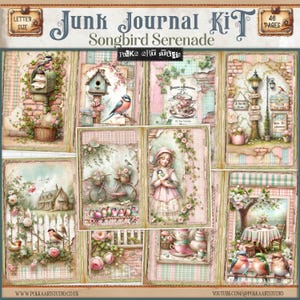 Digital Birds Junk Journal Kit, vintage lente rustieke vogels dagboekpagina's, pastel aquarel vintage digitale download decoratief papier