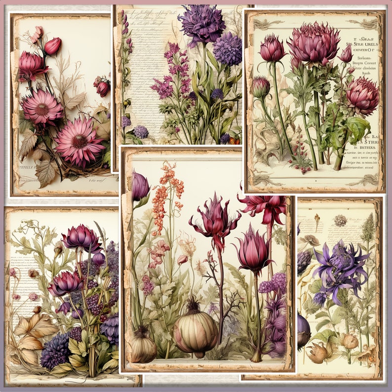 May include: A collage of vintage botanical illustrations featuring various purple and pink flowers with detailed drawings of leaves and stems. The illustrations are framed with a decorative border.