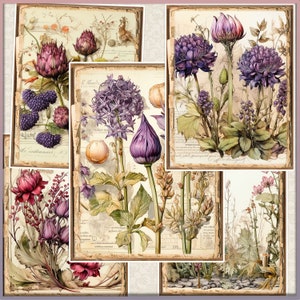 May include: A collage of vintage botanical illustrations featuring purple flowers with intricate details. The images are set against a background of old paper with handwritten text.