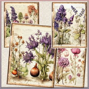 May include: A collage of four vintage botanical illustrations featuring various purple, pink, and white flowers with detailed drawings of leaves and stems. The illustrations are framed with a decorative border.