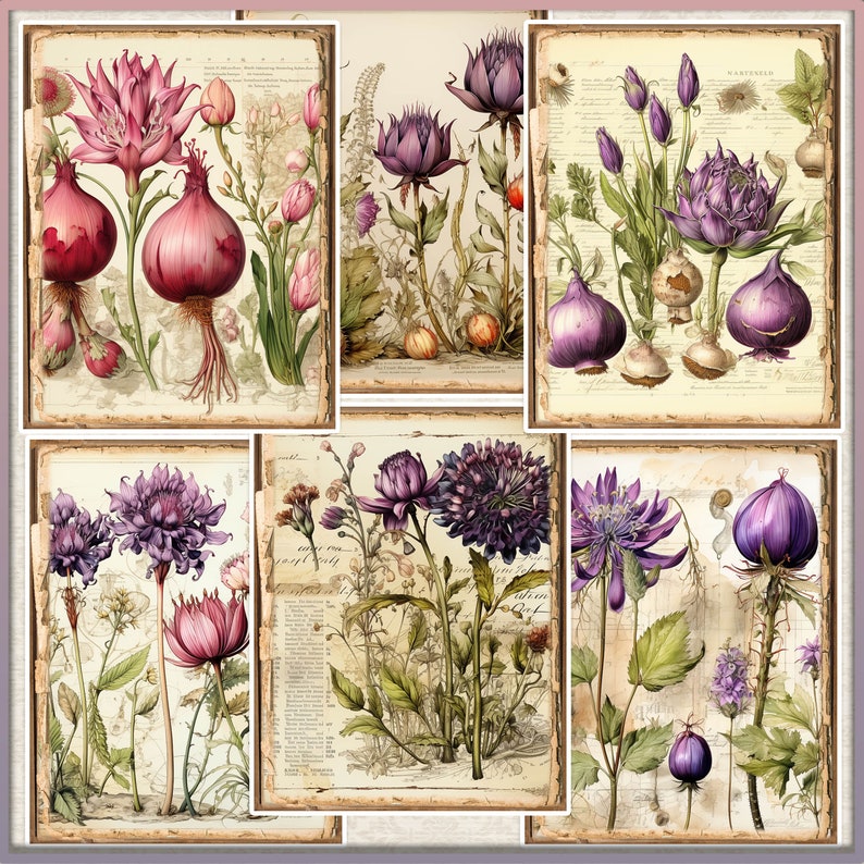 May include: A collage of vintage botanical illustrations featuring various purple and pink flowers, including a large pink onion, a purple artichoke, and a purple flower with a large, round bud. The illustrations are set against a background of old, textured paper.