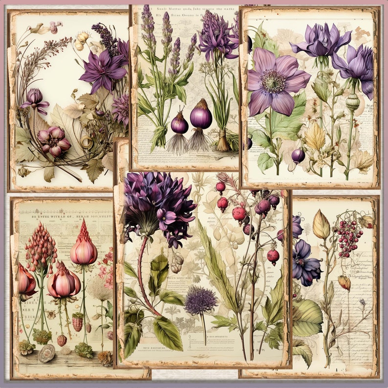 May include: A collage of vintage botanical illustrations featuring various purple flowers, including asters, anemones, and bellflowers. The illustrations are set against a background of old paper with text and delicate floral patterns.