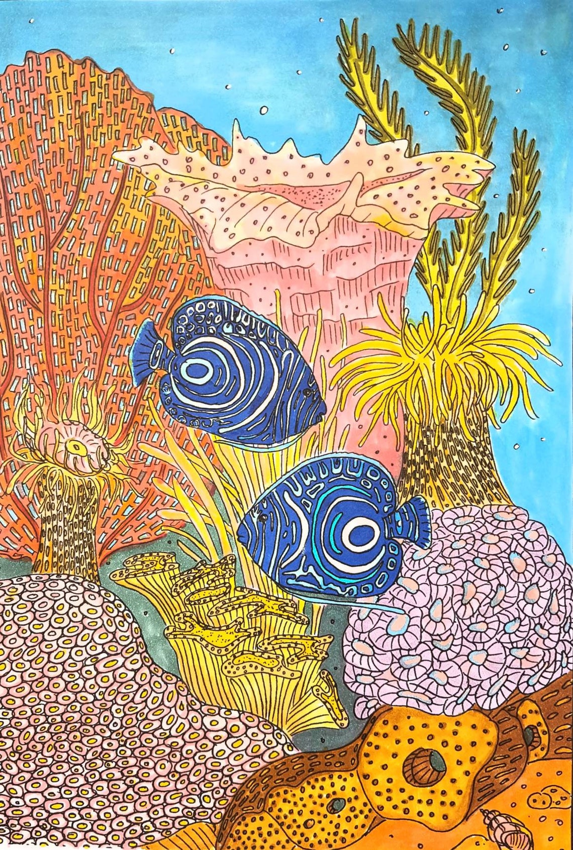 Coral Reef / Printable Colouring Book / 32 Pages / Colouring for Adults ...