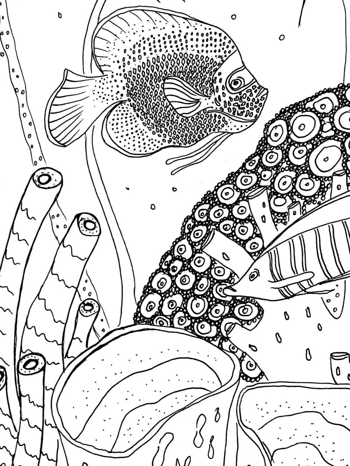 Coral Reef / Printable Colouring Page / Colouring for Adults - Etsy