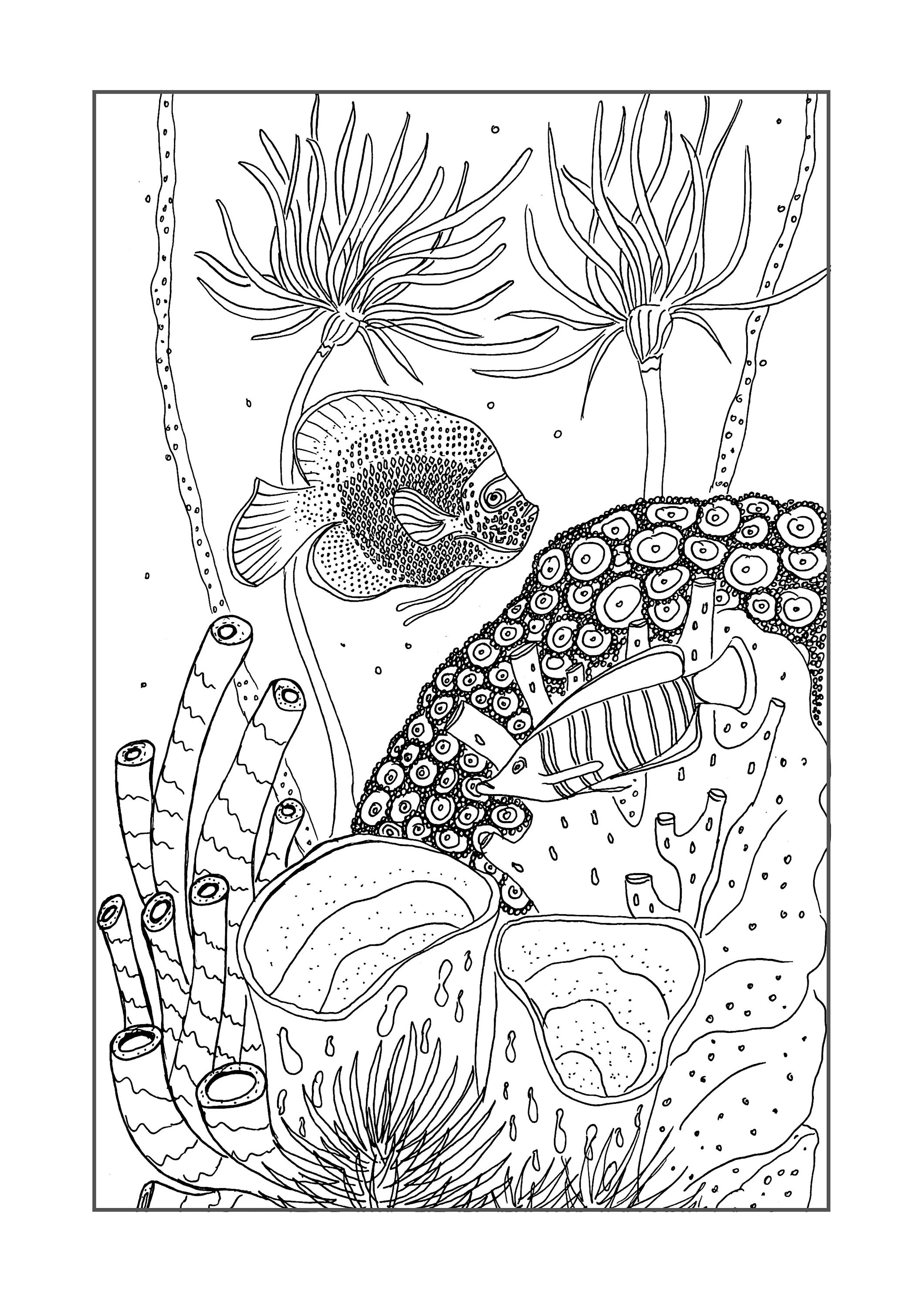 Coral Reef / Printable Colouring Book / 32 Pages / Colouring for Adults ...