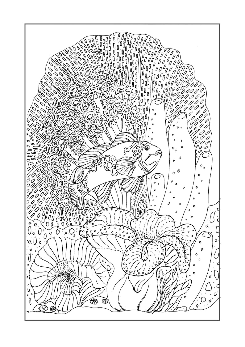 Coral Reef / Printable Colouring Book / 32 Pages / Colouring for Adults ...