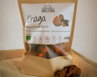 100% Chaga Powder 250g Mushroom