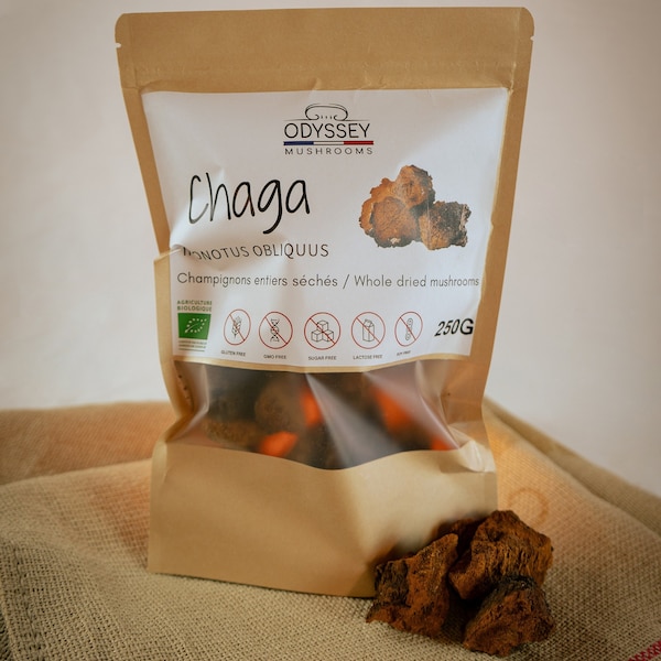 Sayan Chaga Mushroom Powder – 1 Lb – Siberian Wild Harvested – All Natural Tea