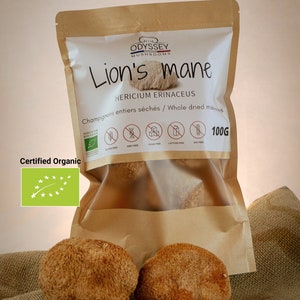 Lions' mane 100g Dried whole mushroom