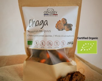 Chaga 250g Whole dried mushroom