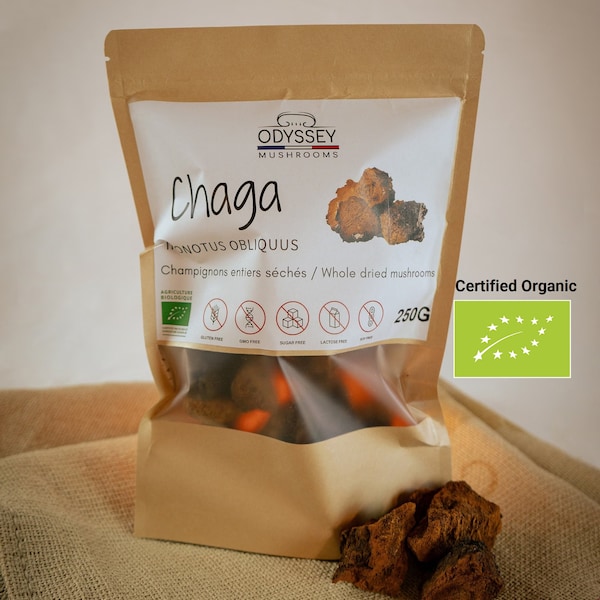 Chaga 250g Champignon entier séché