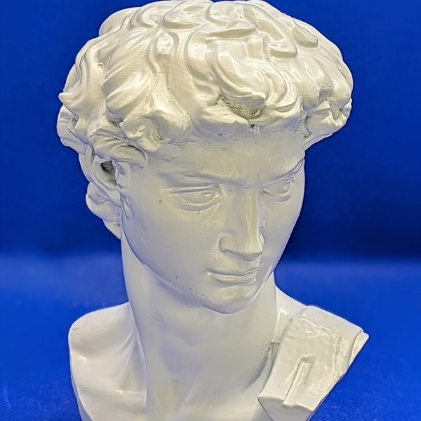 Deko Büste David Skulptur statue Michelangelo Wohnzimmer 3d gedruckt