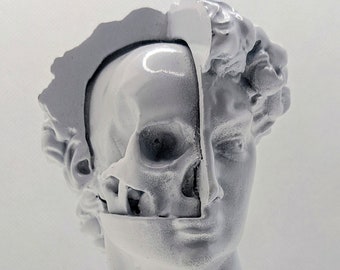 Michelangelo David statue bust half human face half skull in UV resin (resin, 3D printing process) art print