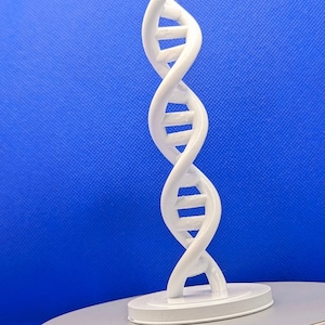 May include: A white, 3D printed model of a DNA double helix, standing on a white base. The model is a decorative representation of the structure of DNA.