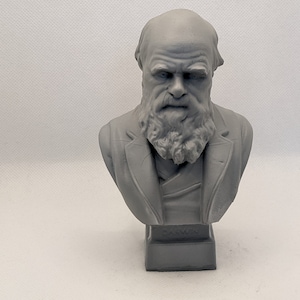 Charles Darwin bust statue home decor sculpture 12cm