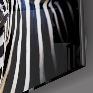 May include: Close-up of a zebra's face, showing its black and white stripes. The zebra's eye is visible, and the stripes continue down the side of its neck.