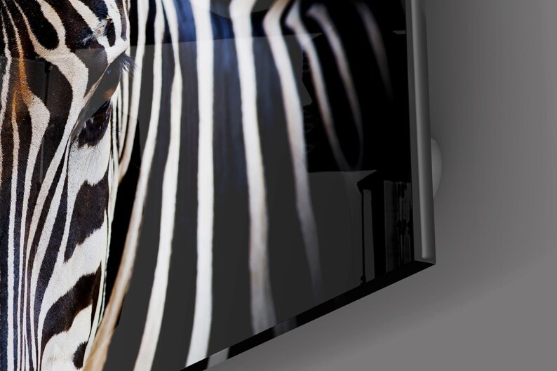 May include: Close-up of a zebra's face, showing its black and white stripes. The zebra's eye is visible, and the stripes continue down the side of its neck.