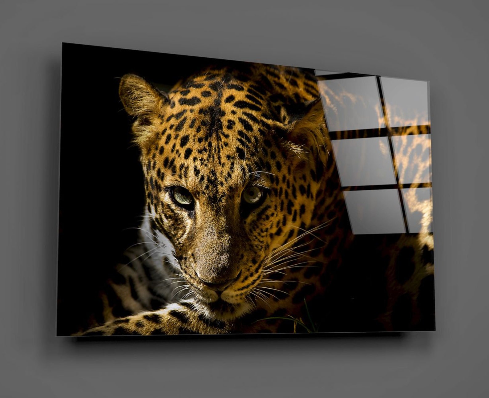 Tiger Glass Print Picture Wall Art Safari Animals Art Etsy UK