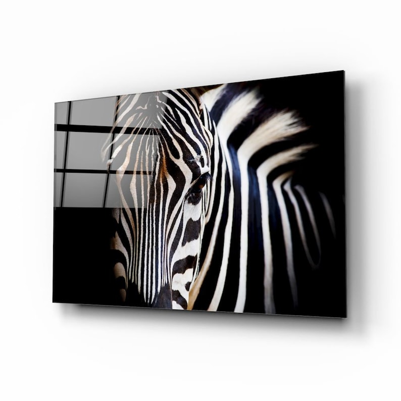 May include: A close-up of a zebra's face, showing its black and white stripes. The zebra is in focus, while the background is blurred.
