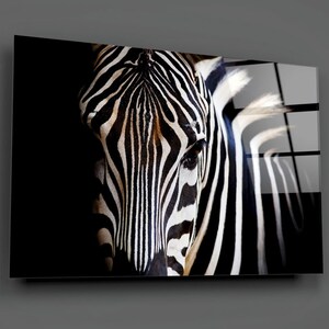 May include: A close-up of a zebra's face, showing its black and white stripes. The zebra is in a dark setting, with only its head and neck visible.