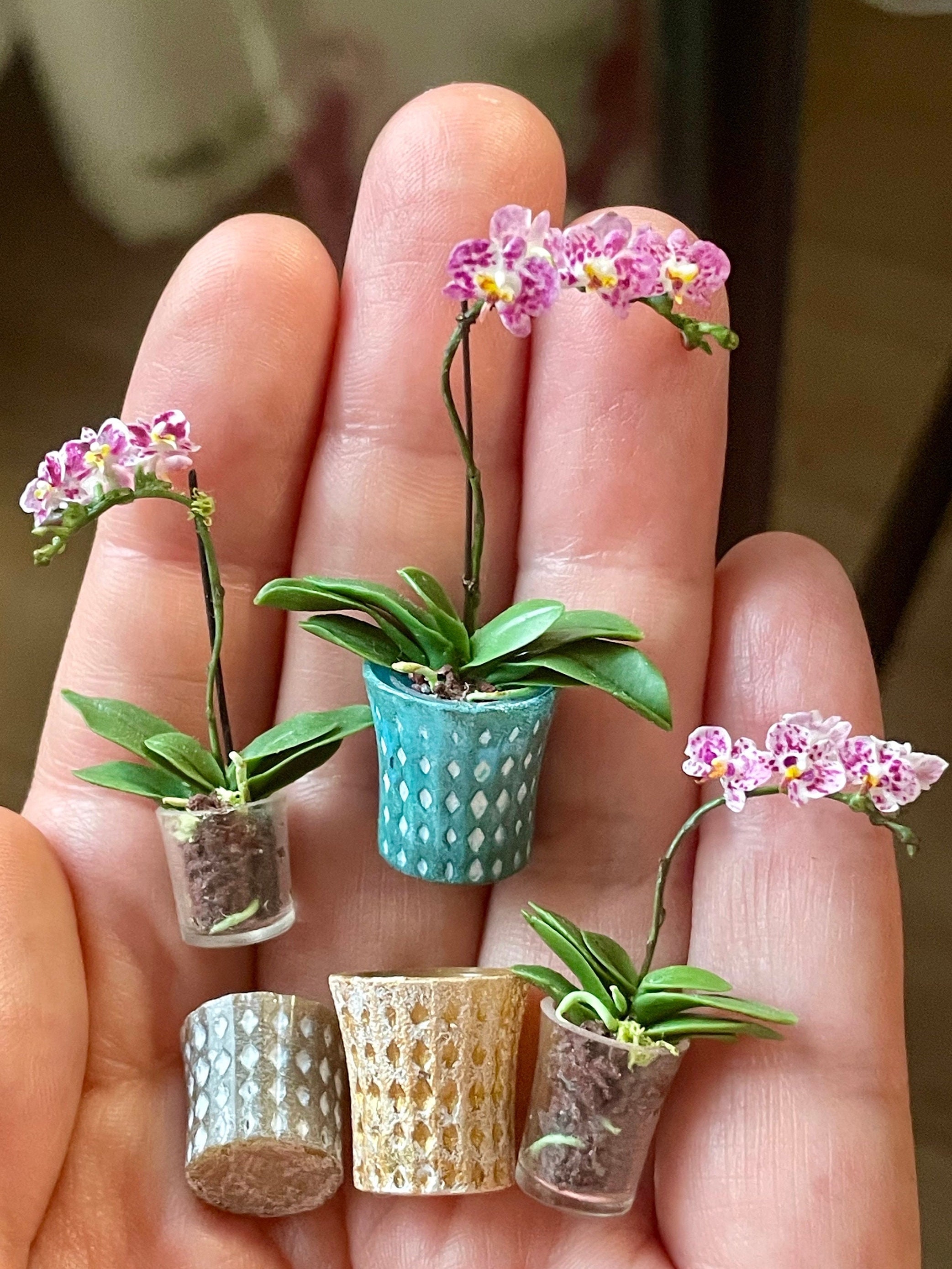 Lepanthes - Etsy Singapore
