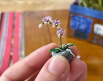 Handgefertigte Puppenhaus Miniatur Orchideenblüten im Maßstab 1:12 in einem 