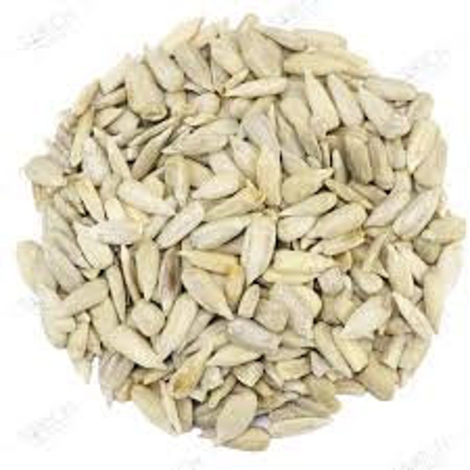 Buy White Sunflower Roasted Sunflower Online in India Etsy