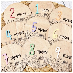 Marcadores para fotografías de bebés, tarjetas de hitos mensuales, regalo para baby shower, accesorio fotográfico para recién nacidos.