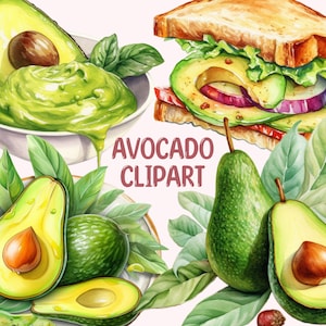 Avocado Watercolour Clipart PNG Digital Image Downloads for Card Making Scrapbook Junk Journal Paper Crafts