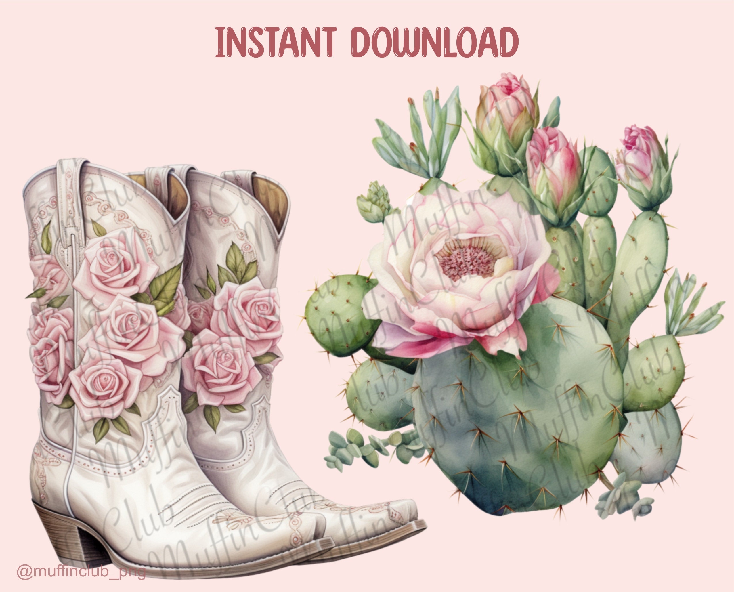 White Texas Watercolour Vintage Clipart - Texas Roses Pink PNG Digital ...