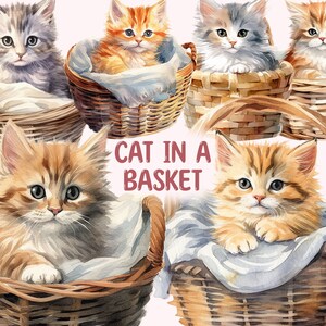 Baby Cat clipart, Watercolour Kitten in a Basket Clipart, Cats Clipart, Vintage Cat in Basket png, Instant Download
