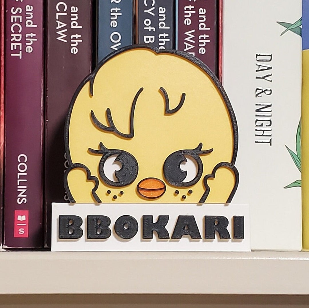 Stray kids BbokAri