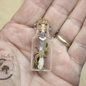 May include: A small glass bottle with a cork stopper, containing a white feather, a small piece of moss, and a few dried twigs. The bottle is held in a hand.