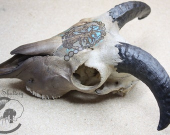 Pyrography Painted Sheep Skull with Horns - Nature cleaned oddity - Real Skull - One of a Kind