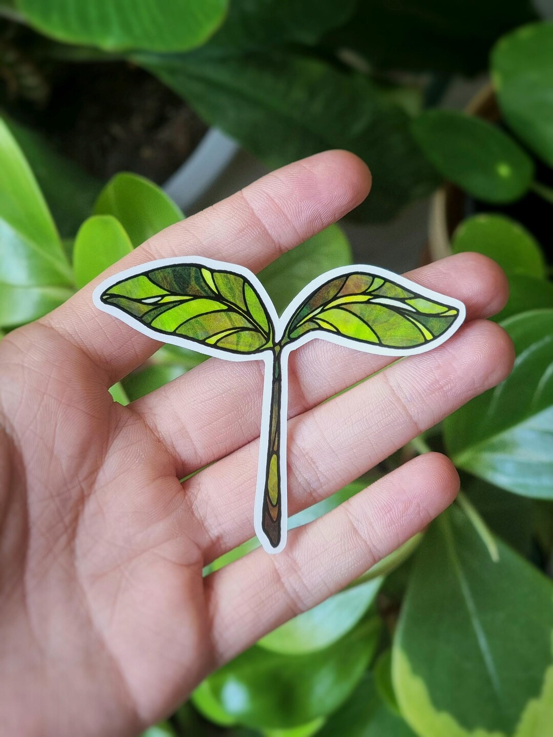 Green Sprout Transparent Vinyl Sticker - Cute Stained Glass Leaf ...