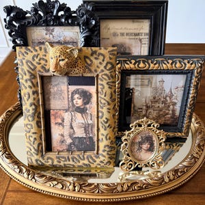 May include: An assortment of decorative picture frames in various styles. Includes a leopard print frame with a 3D leopard head, ornate black frames, and a small gold oval frame. The frames are displayed on a gold-toned, oval tray.
