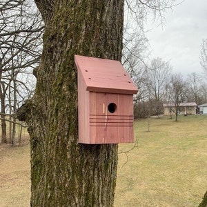 Woodpecker Birdhouse Cedar