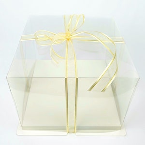 White Square Clear Plastic Cake Box
